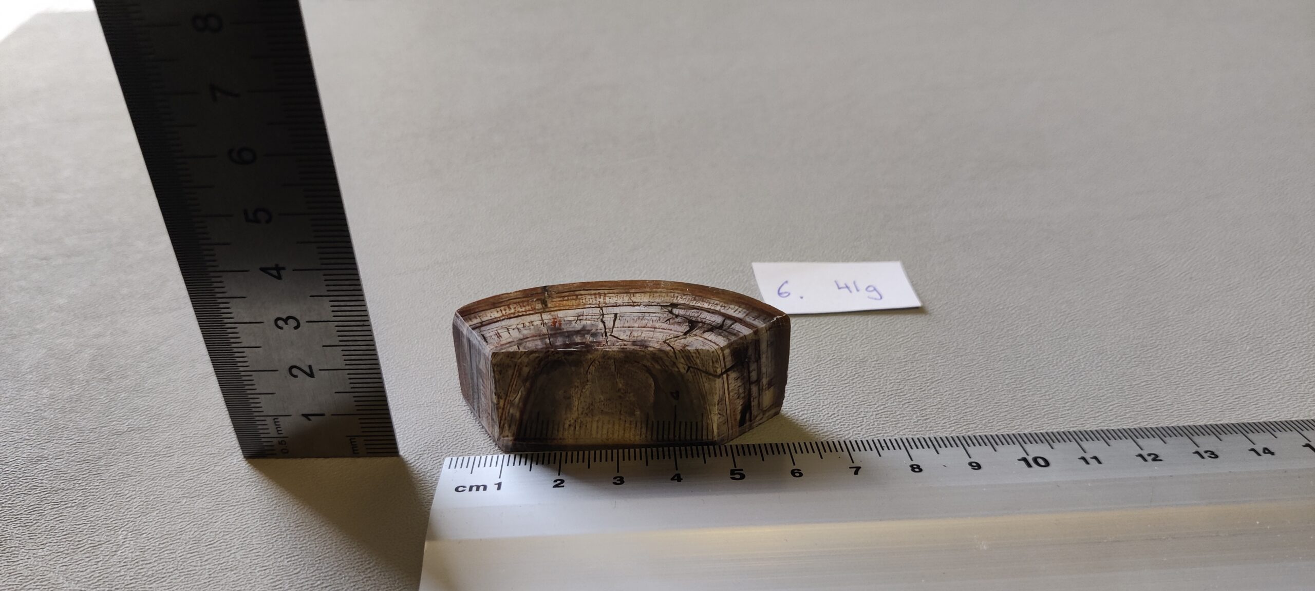 Mammutbete Större Bitar - Image 5