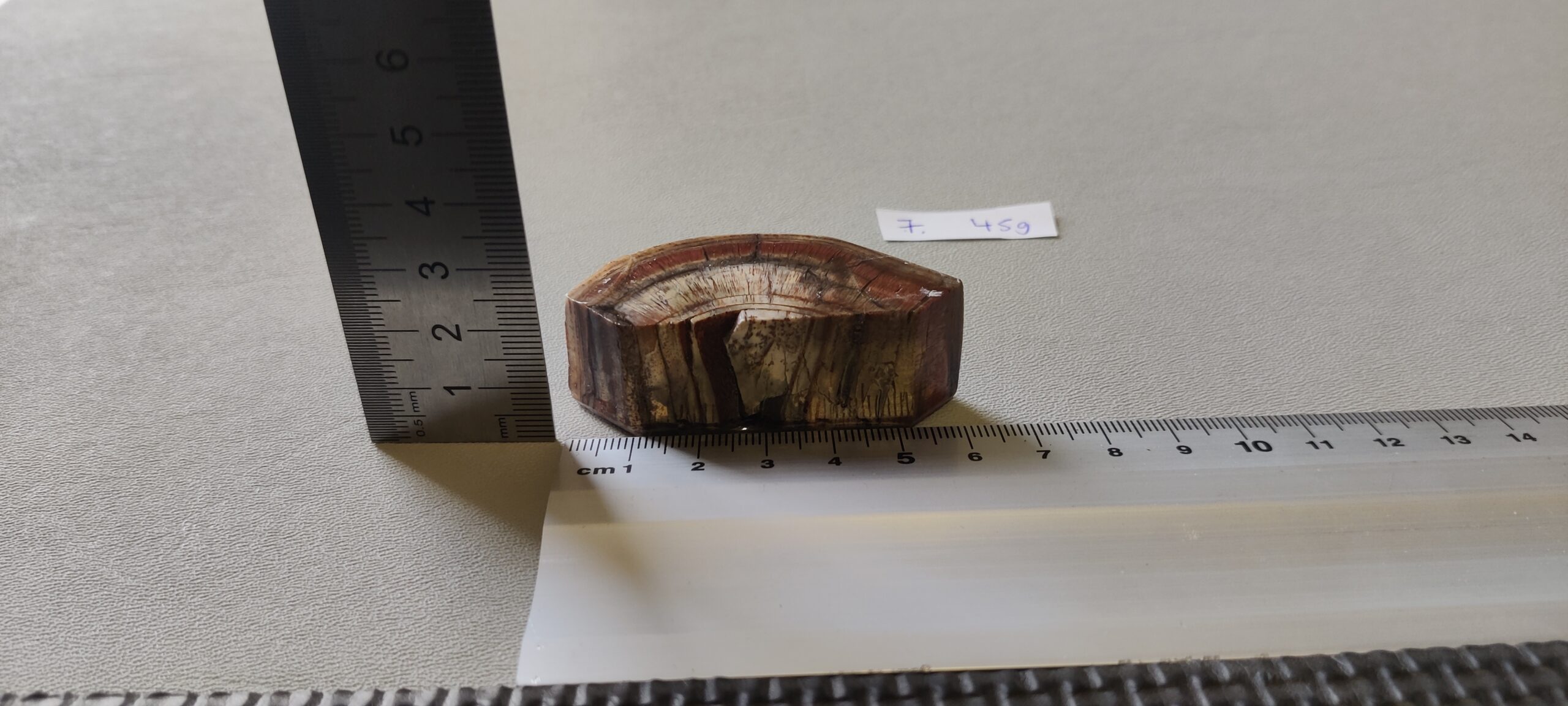 Mammutbete Större Bitar - Image 10