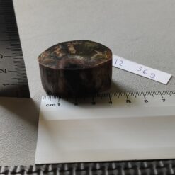 Alternative view of Mammutbete Stötte Bitar