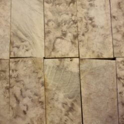 Black Locust Burl