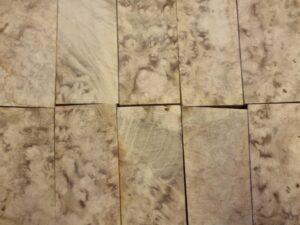 Black Locust Burl
