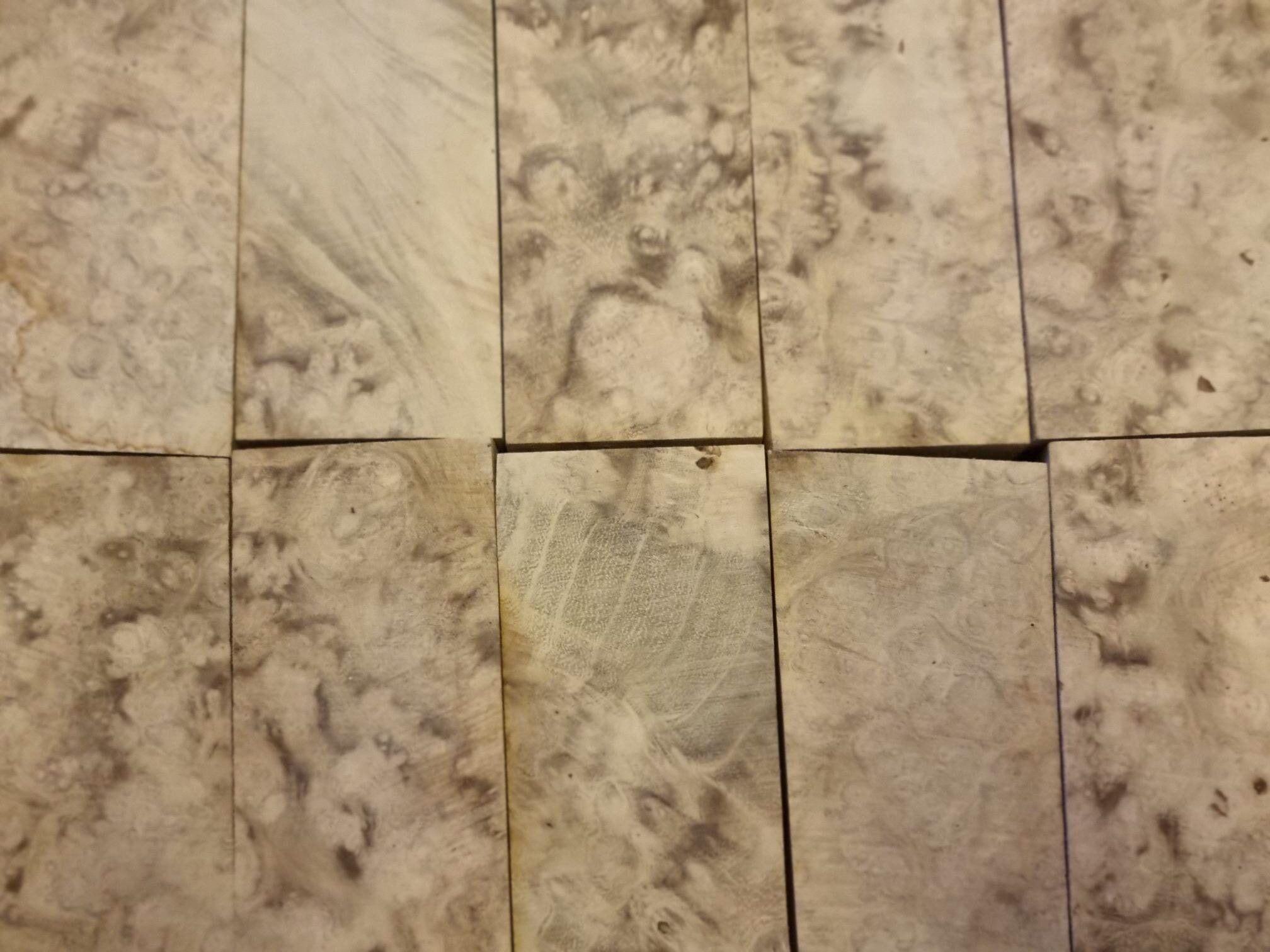Black Locust Burl
