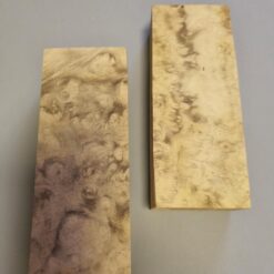 Black Locust Burl - Image 3