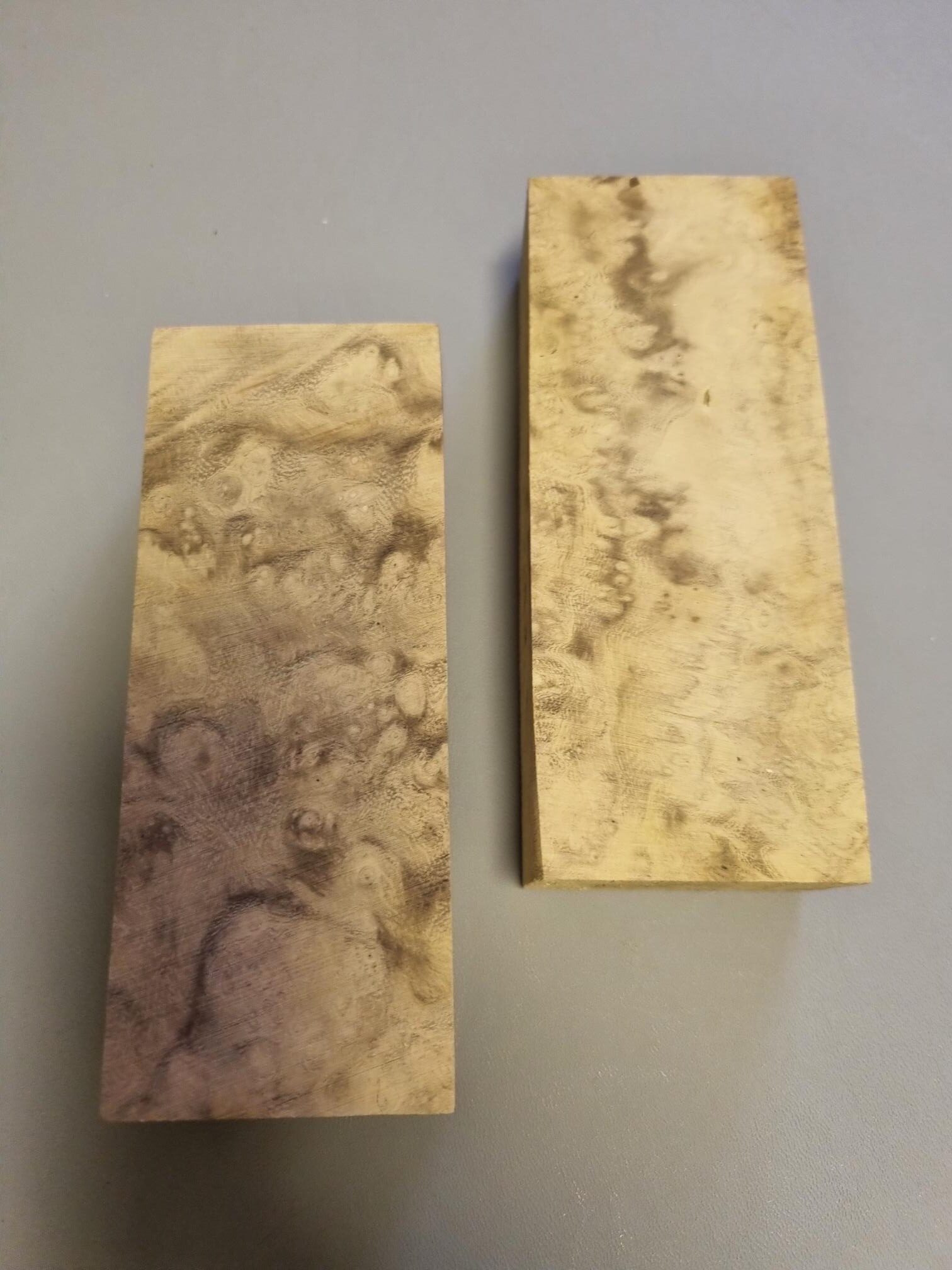 Black Locust Burl - Image 3
