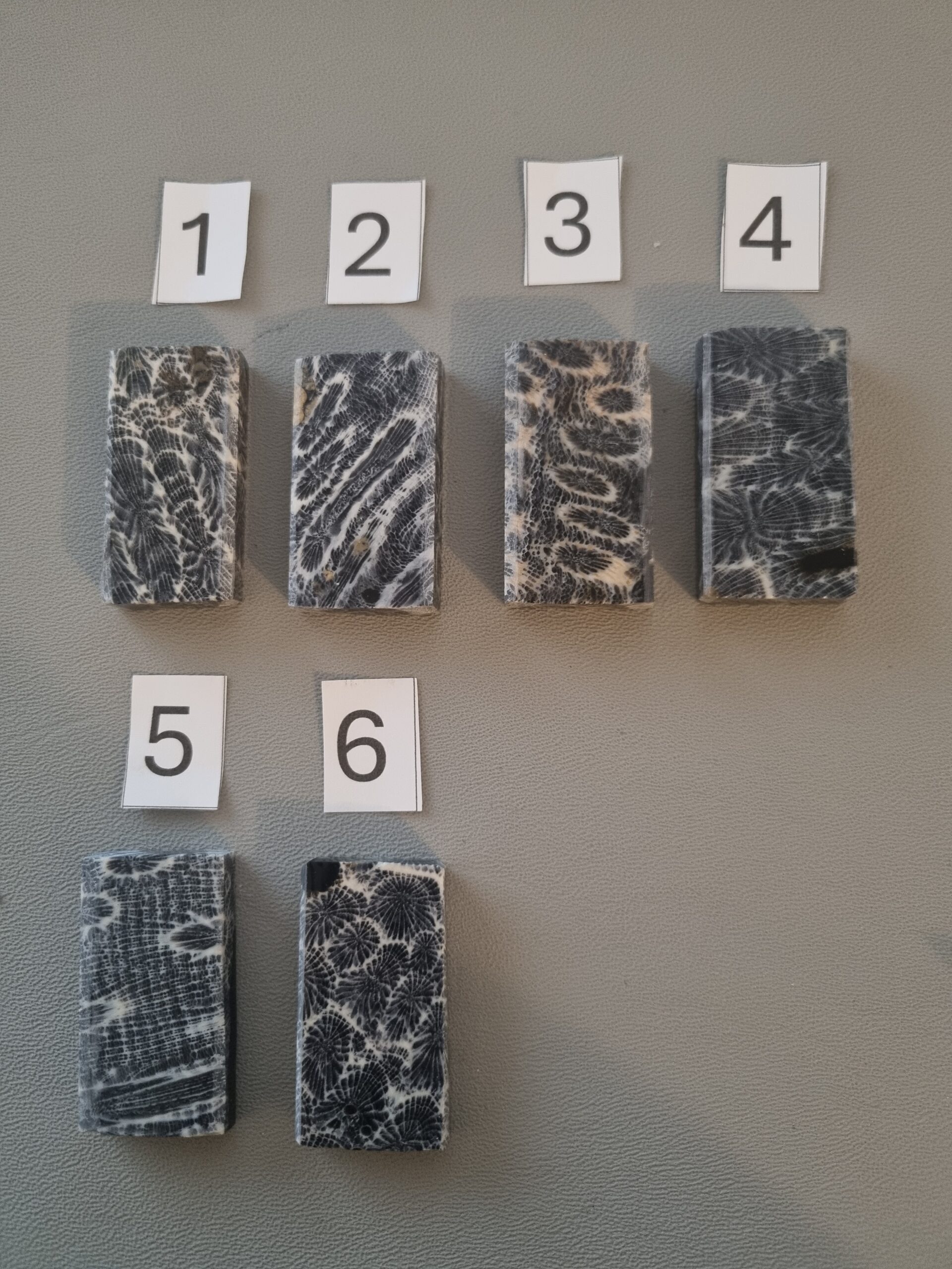 Stabiliserad Fossil Coral 6 mm - svart