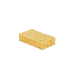 Cellulosasvamp