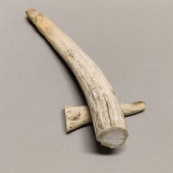 Älghorn Spets stor