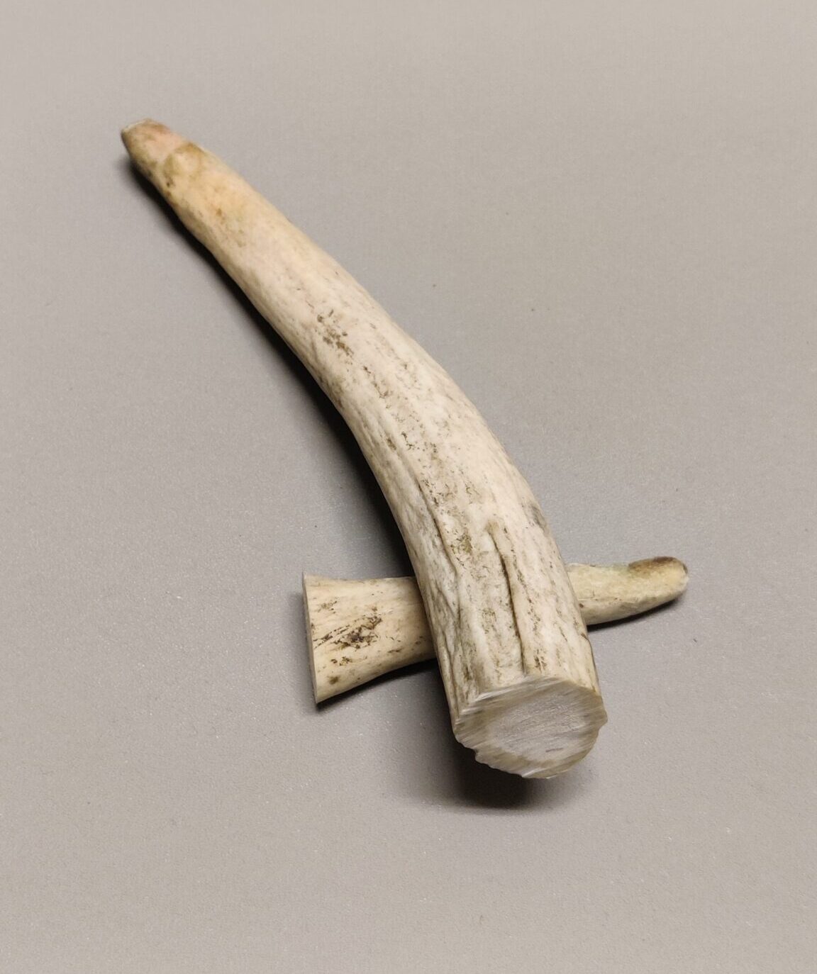 Älghorn Spets stor